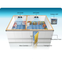 prefabricated cold rooms Cold Room with Refrigeration Unit fruit and vegetable cold room from